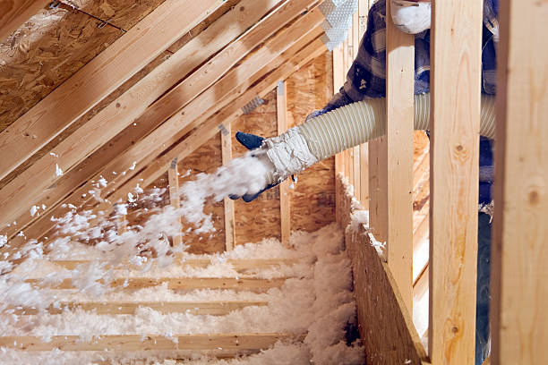 Best Commercial Insulation Services  in USA